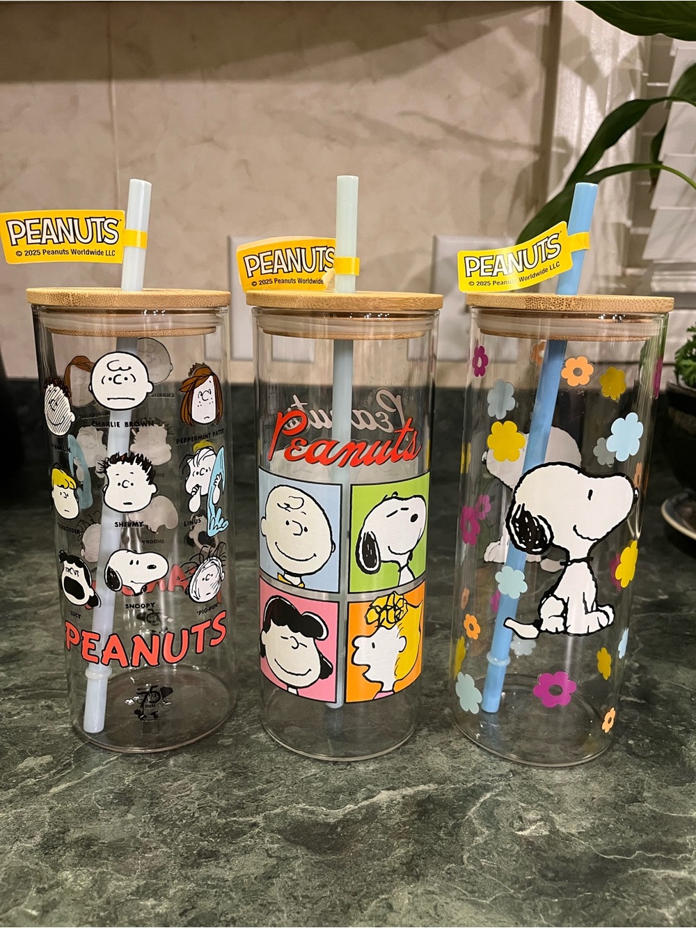 *BUNDLE* Peanuts Snoopy Glass Tumblers 16 oz